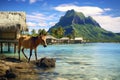 A horse on the background of the island of Tahiti and the ocean. Journey