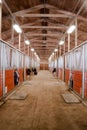 Horse Barn Animal Sport Paddock Equestrian Ranch Racing Stable