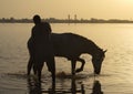 Horse bathing at dawn Royalty Free Stock Photo