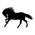 Horse black Isolated silhouette - Vector Illustration. Beautiful Horse racing Royalty Free Stock Photo