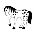 A horse with a black mane and tail in `apples` on a white background Royalty Free Stock Photo