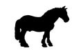 Horse black silhouette isolated on white background. Vector illustration Royalty Free Stock Photo