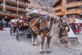Horse with braided mane carrying cart on street of town square against houses