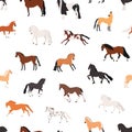 Horse breeding flat vector seamless pattern. Purebreed mares and stallions decorative texture. Thoroughbred racehorses