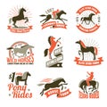 Horse breeding labels emblems set Royalty Free Stock Photo