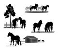 Horse breeding, scenes with horses silhouettes.