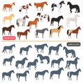 Horse breeds color flat icons set. Horse black silhoutte simple icons set Royalty Free Stock Photo