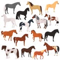 Horse breeds color flat icons set