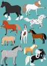 Horse breeds