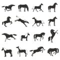 Horse Breeds silhouettes Black Icons Set Royalty Free Stock Photo