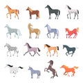 Horse breeds. Strong beautiful domestic animals in action poses jumping and walking pony vector set