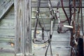 Bridles Hanging Against Wooden Wall Royalty Free Stock Photo