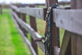 Horse bridles hanging on the fence of fenced area with shallow d Royalty Free Stock Photo