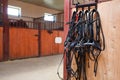 Horse bridles hanging in stable