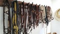 Horse bridles