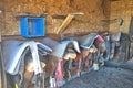 Horse supplies in a tack shed on a ranch