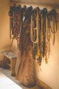 Horse bridles and western chaps