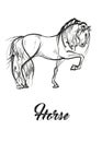 Horse brings up. Hand drawn vector illustration