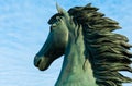 Horse bronze statue