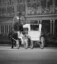 Horse and Buggy Royalty Free Stock Photo