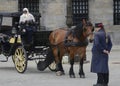 Horse and buggy in Amsterdam, Netherlands Royalty Free Stock Photo