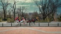 A horse and buggy carriage with coachman in Central Park New York city Royalty Free Stock Photo