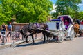 A horse and buggy carriage with coachman in Central Park in New York City. The carriage rides are in danger of being banned for Royalty Free Stock Photo