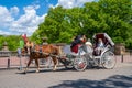 A horse and buggy carriage with coachman in Central Park in New York City. The carriage rides are in danger of being banned for Royalty Free Stock Photo