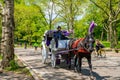 A horse and buggy carriage with coachman in Central Park in New York City. The carriage rides are in danger of being banned for Royalty Free Stock Photo