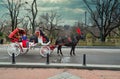 A horse and buggy carriage with coachman in Central Park New York city Royalty Free Stock Photo