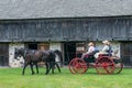 Horse, Buggy, Farmer, People Riding Royalty Free Stock Photo