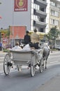 Horse and buggy ride at Aaren