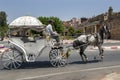 A horse and buggy ride through the streets of Meknes in Morocco looking for customers.