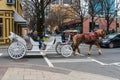 Horse and buggy tour guide in charlotte north carolina