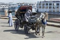 A horse and buggy wait for customers next to the River Nile in Edfu, Egypt.
