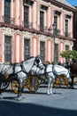 Seville horse and Buggy Royalty Free Stock Photo