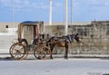 Horse cab, Valletta Malta Royalty Free Stock Photo
