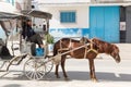 Horse car carried by Moroccan street vendor