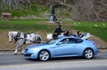 Horse and car