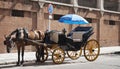 Horse car. Royalty Free Stock Photo