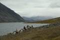 Horse caravan on the shore of a mountain lake.