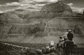 Horse caravan to the Grand Canyon