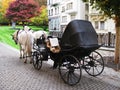 Horse carriage