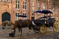 Horse and carriage