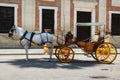 Horse and carriage