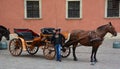 Horse carriage appeared in the city in 1798 after World War II