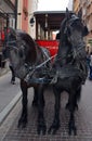 Horse carriage appeared in the city in 1798 after World War II