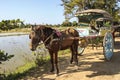 Horse carriage at the Bagan Archaeological Zone, Myanmar Burma Royalty Free Stock Photo