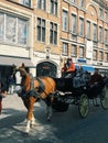 Horse carriage in Brussels street.