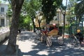 Horse Carriage on Buyukada Island - part of Prince Islands - near Istanbul, Turkey